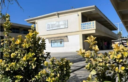 Anuncia UAdeC nuevo ciclo de cursos en Centro de Idiomas