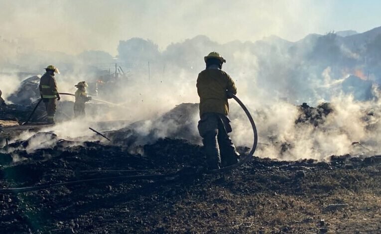 Van 5 pirómanos detenidos en Saltillo