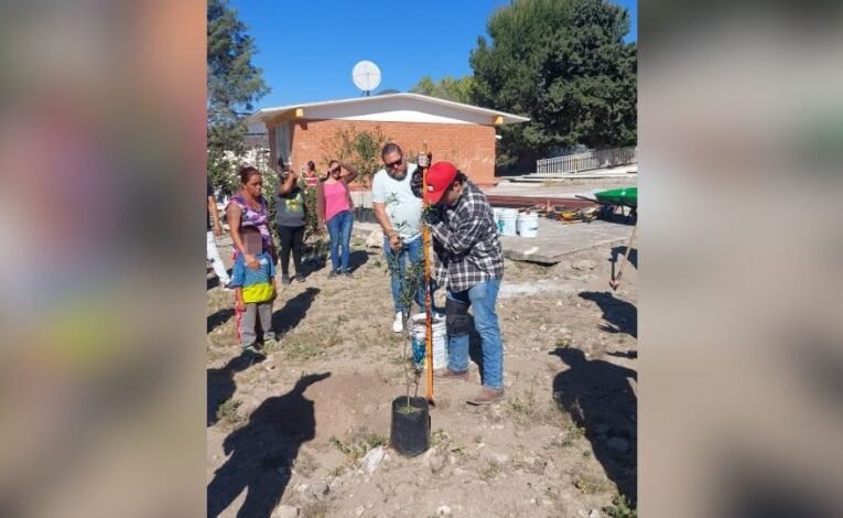 Lanzan campaña de reforestación escolar para rescatar áreas verdes